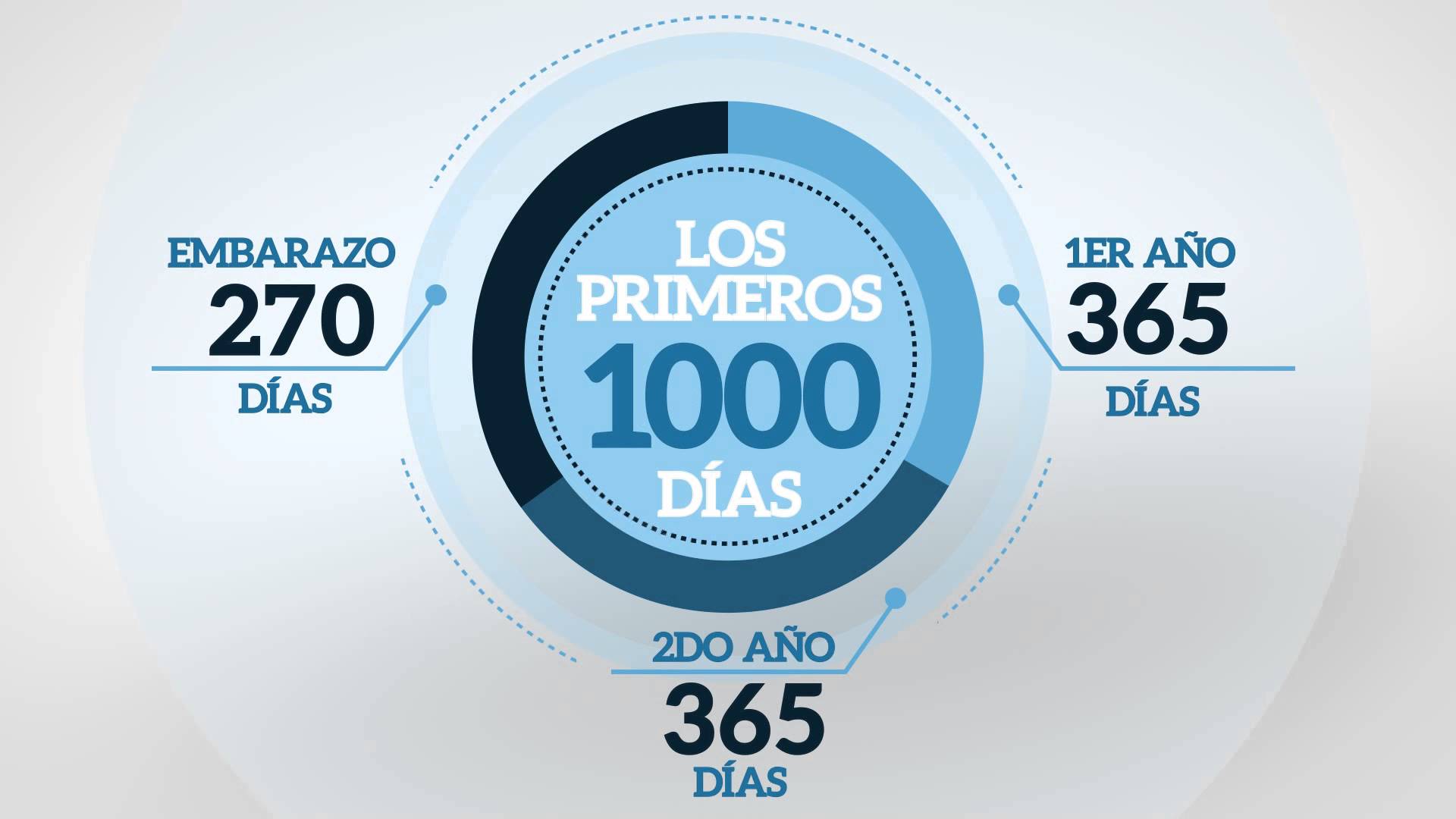 1000 DIAS